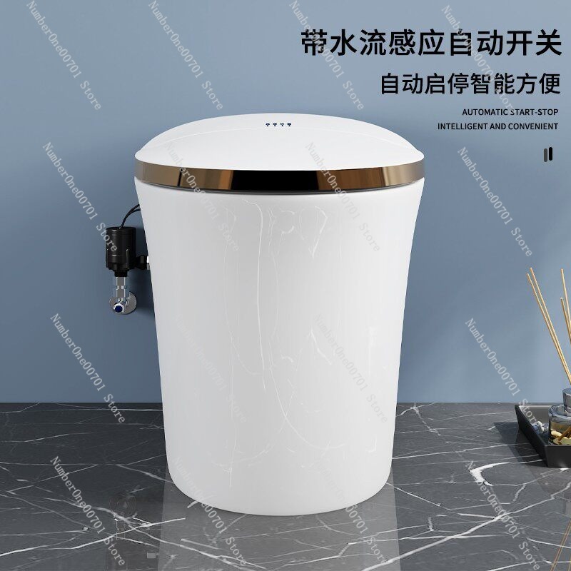 Slimme toiletversterkerpomp Au - Home Bathroom Pressure Pump recensie en prijs